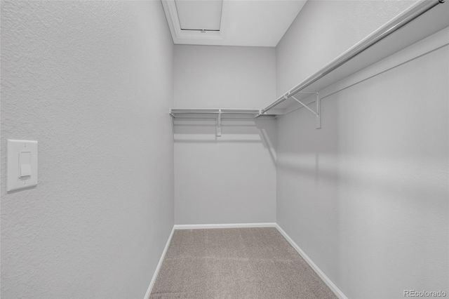 4365 Hidden Gulch Road, Castle Rock, CO 80104