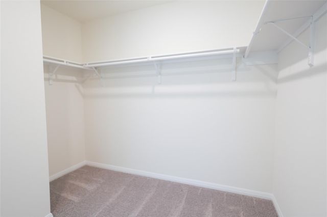 9422 Castillo Court, Magnolia, TX 77354