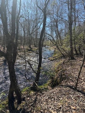 0 Lot 16 Bravo Way, Talking Rock, GA 30175