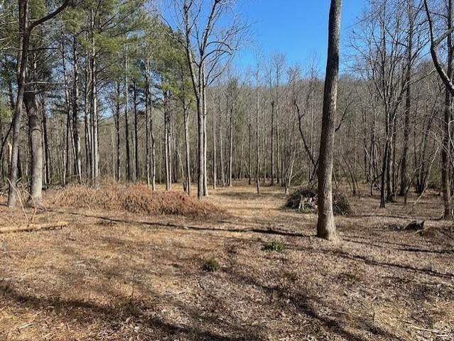 0 Lot 16 Bravo Way, Talking Rock, GA 30175