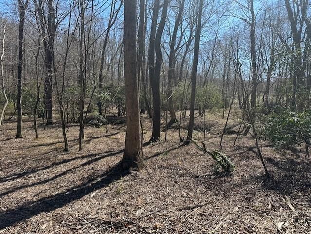 0 Lot 16 Bravo Way, Talking Rock, GA 30175