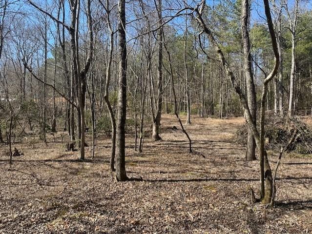 0 Lot 16 Bravo Way, Talking Rock, GA 30175