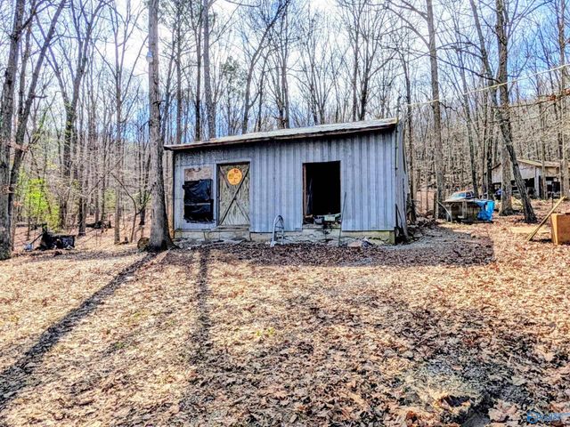 1818 West Lacon Road, Falkville, AL 35622