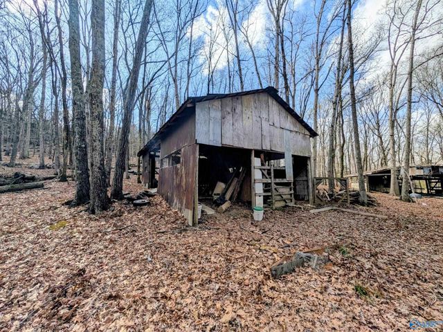 1818 West Lacon Road, Falkville, AL 35622