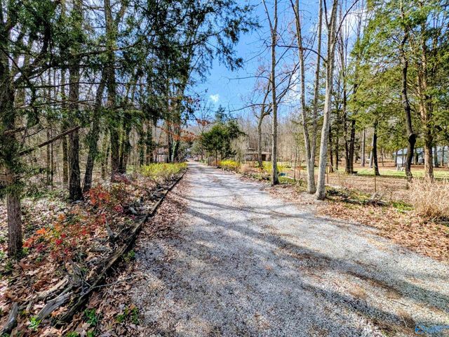 1818 West Lacon Road, Falkville, AL 35622