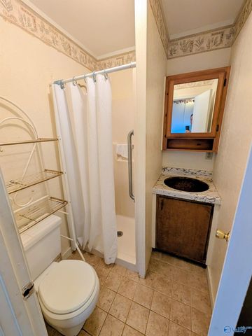 1818 West Lacon Road, Falkville, AL 35622