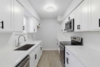 10574 High Hollows Drive 165, Dallas, TX 75230