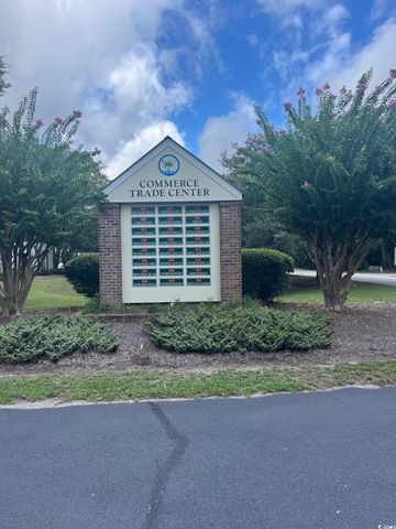 235 Commerce Dr Unit 301, Pawleys Island, SC 29585