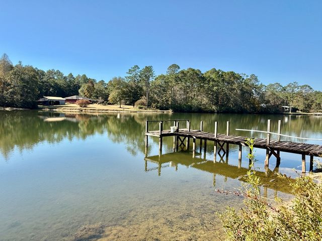 200 Jessica Lane, Geneva, AL 36340