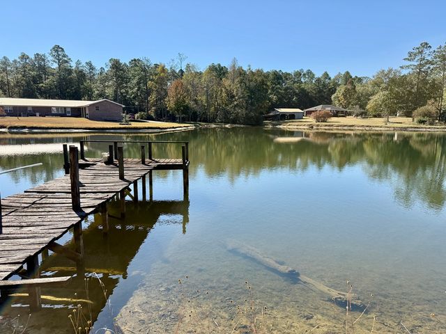 200 Jessica Lane, Geneva, AL 36340