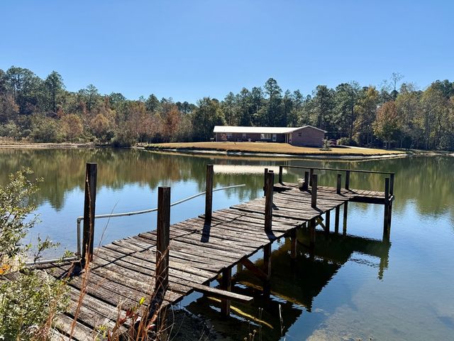 200 Jessica Lane, Geneva, AL 36340