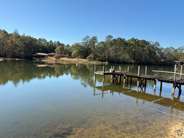 200 Jessica Lane, Geneva, AL 36340