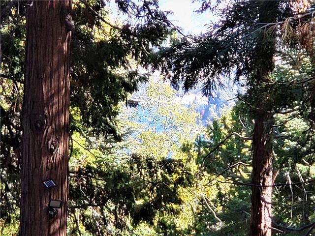 330 Castle Gate Road, Lake Arrowhead, CA 92352