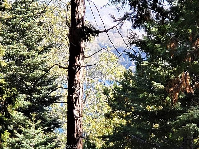 330 Castle Gate Road, Lake Arrowhead, CA 92352