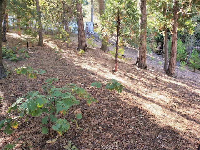 330 Castle Gate Road, Lake Arrowhead, CA 92352