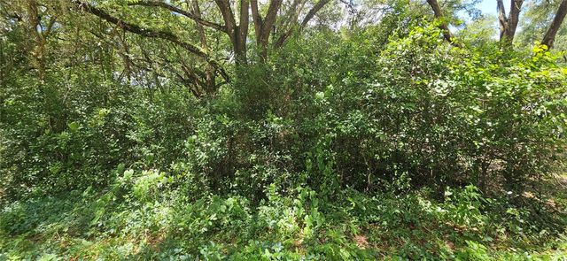 SE 27TH COURT, Summerfield, FL 34491