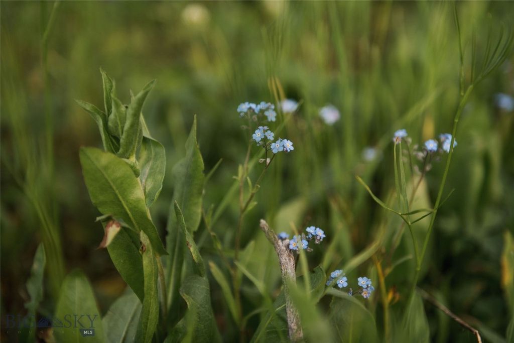 Lot 20 Charles Russell Loop, Big Sky, MT 59716 photo 28