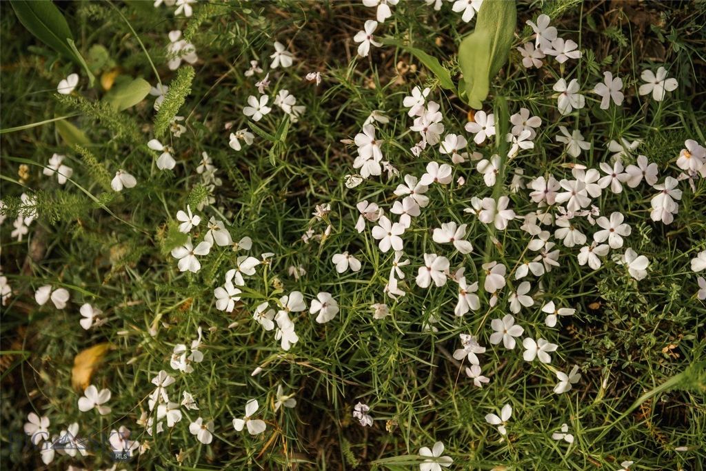 Lot 20 Charles Russell Loop, Big Sky, MT 59716 photo 30