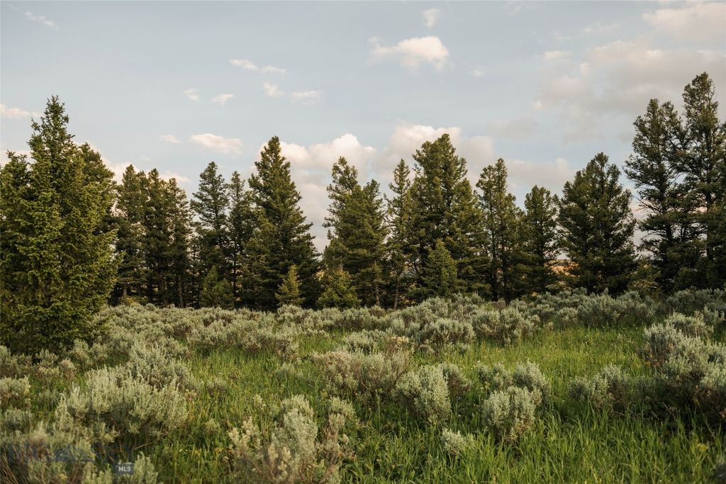 Lot 20 Charles Russell Loop, Big Sky, MT 59716 photo 37