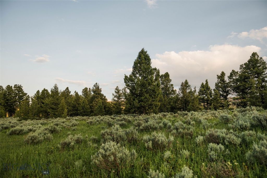 Lot 20 Charles Russell Loop, Big Sky, MT 59716 photo 60