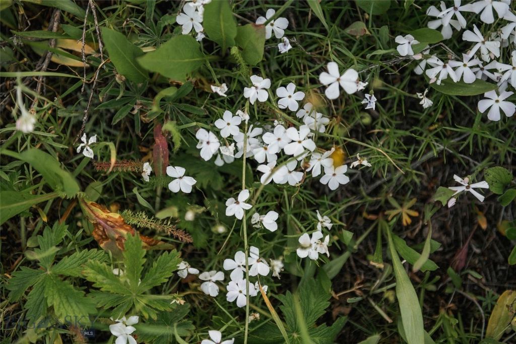 Lot 20 Charles Russell Loop, Big Sky, MT 59716 photo 62