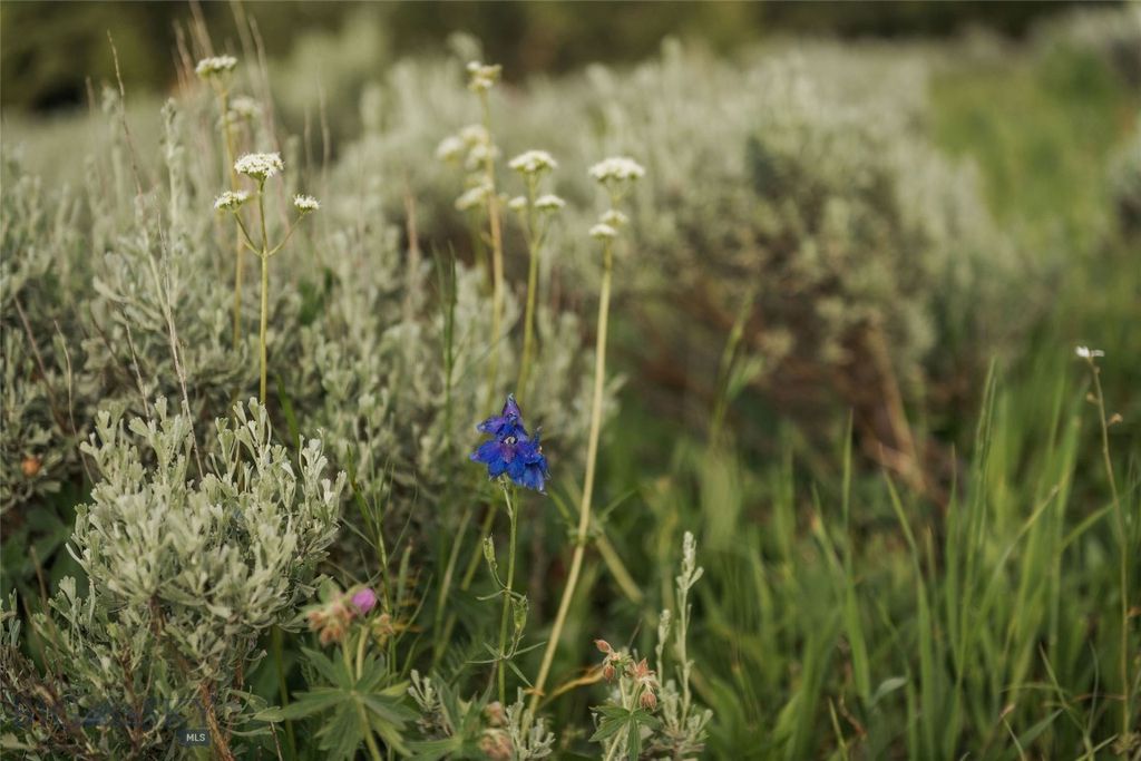 Lot 20 Charles Russell Loop, Big Sky, MT 59716 photo 82