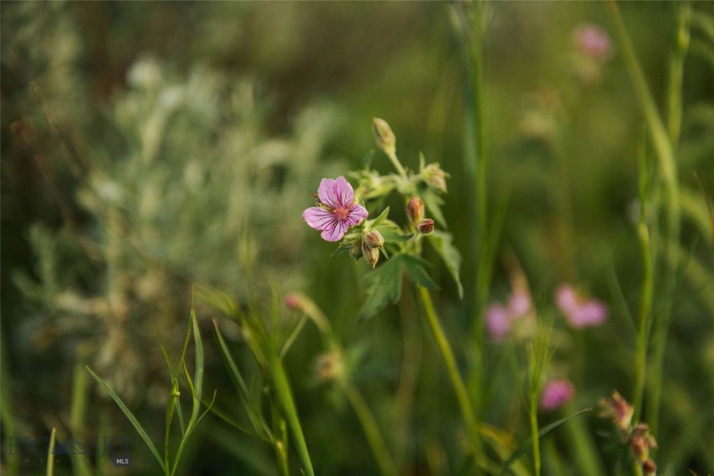 Lot 20 Charles Russell Loop, Big Sky, MT 59716 photo 83