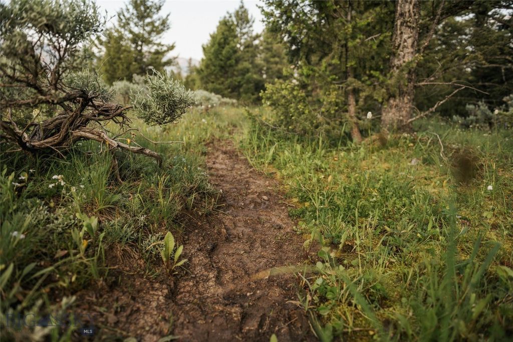 Lot 20 Charles Russell Loop, Big Sky, MT 59716 photo 84
