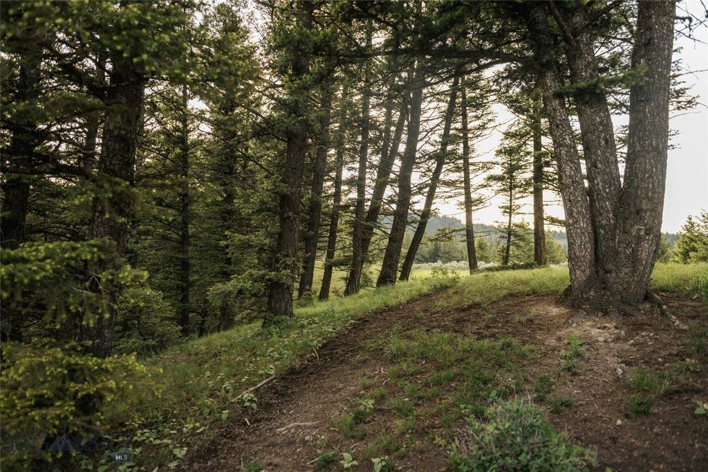 Lot 20 Charles Russell Loop, Big Sky, MT 59716 photo 92