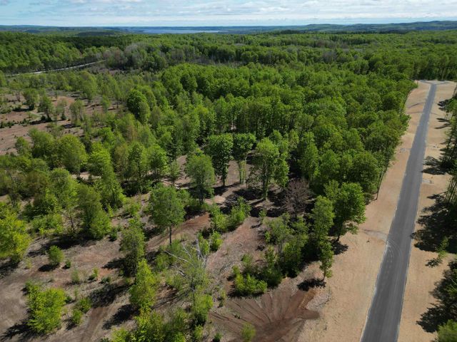 1155 E Solaris Way, Maple City, MI 49664