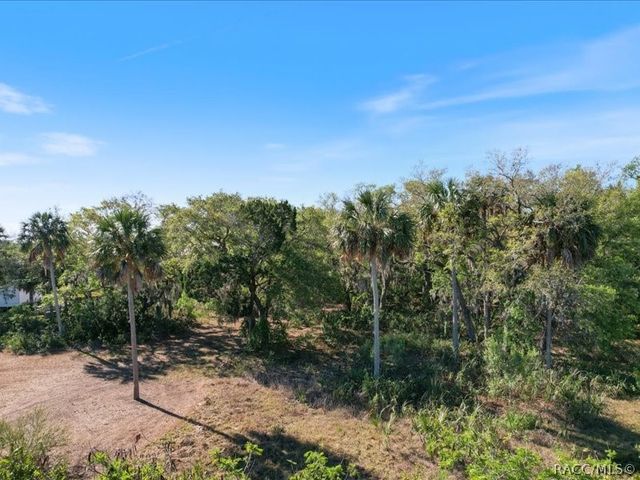 1465 S Surf Loop, Crystal River, FL 34429
