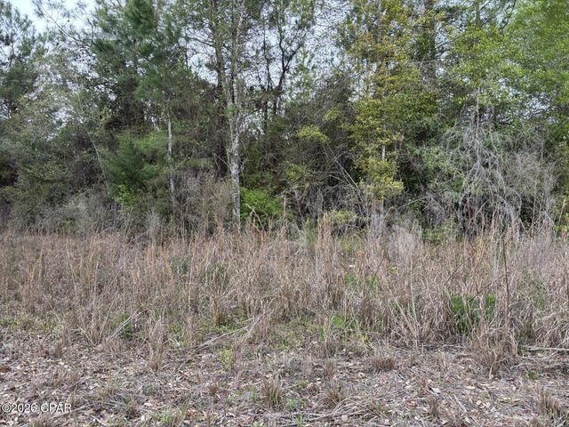 X NW Cook Road, Clarksville, FL 32430