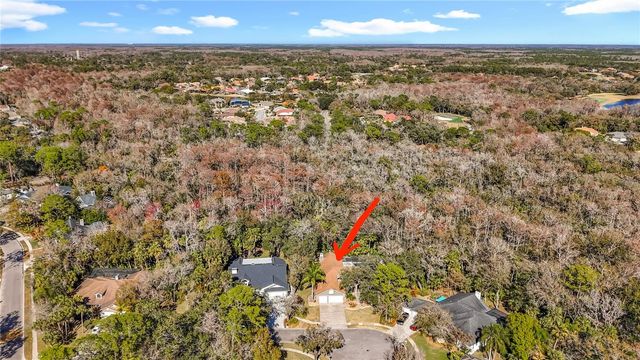 50 WILLOWOOD LANE, Oldsmar, FL 34677