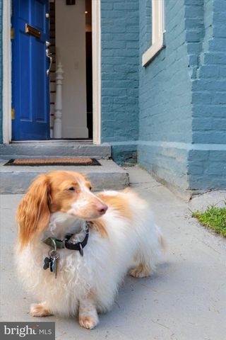 911 INDEPENDENCE AVE SE, Washington, DC 20003