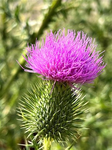 22164 State Route KK, St James, MO 65559