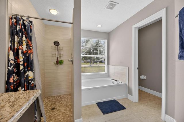 4409 WINDMILL POINTE DRIVE, Plant City, FL 33567