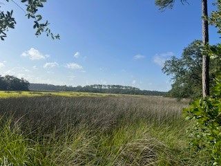 1059 NE Refuge Point, Townsend, GA 31331