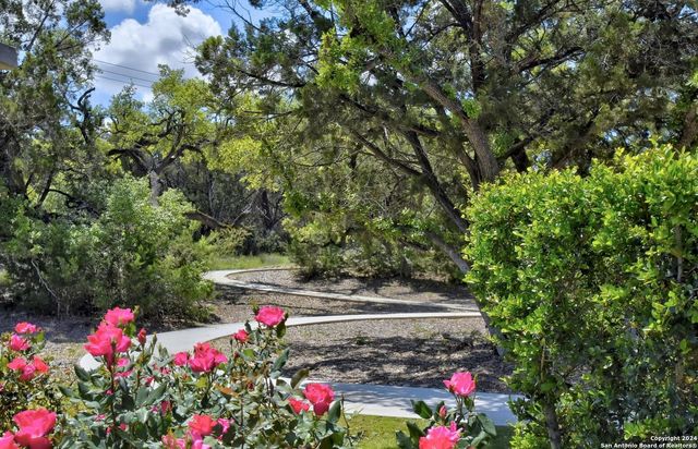 32156 Morels, Bulverde, TX 78163