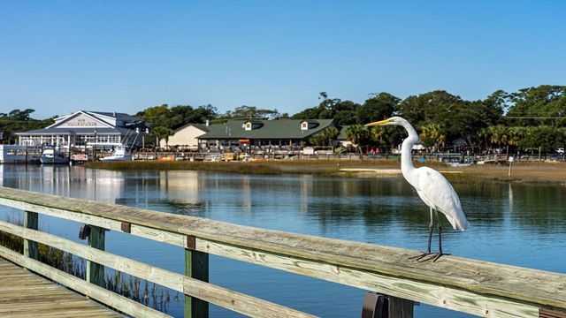 612 Culmen Ct., Myrtle Beach, SC 29588