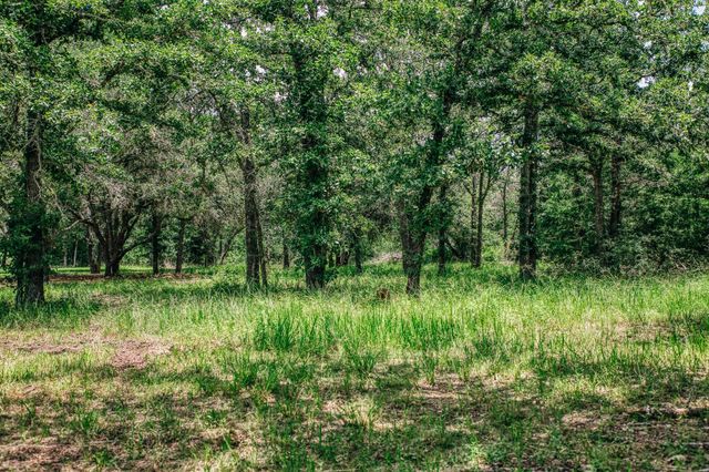 3301 Round Top Road, Round Top, TX 78954