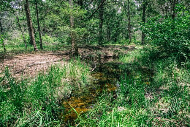 3301 Round Top Road, Round Top, TX 78954