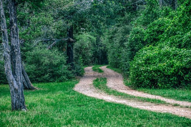 3301 Round Top Road, Round Top, TX 78954