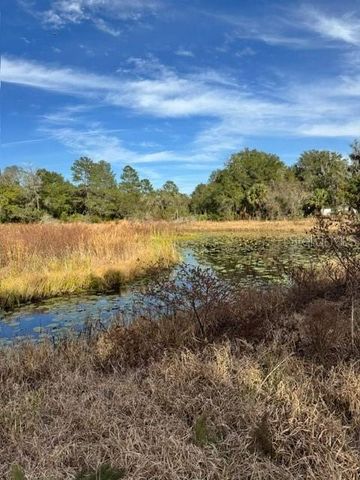 201 LAKE MOLLY AVENUE, Deland, FL 32724