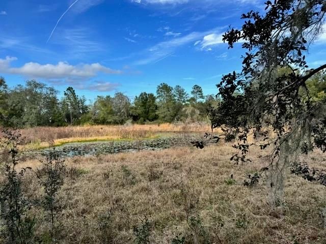 201 LAKE MOLLY AVENUE, Deland, FL 32724