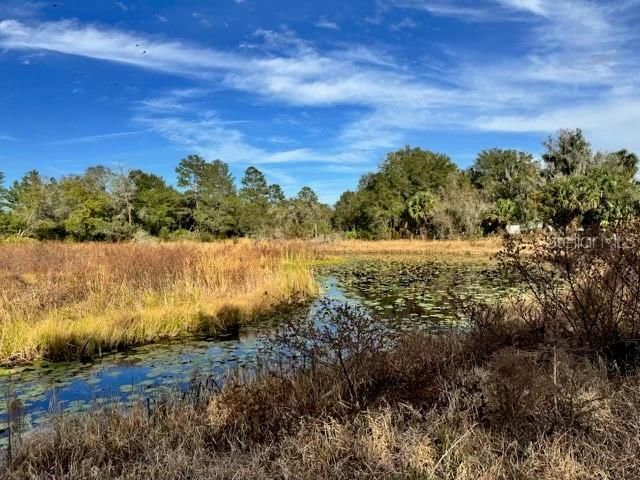 201 LAKE MOLLY AVENUE, Deland, FL 32724