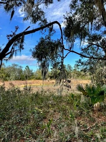 201 LAKE MOLLY AVENUE, Deland, FL 32724