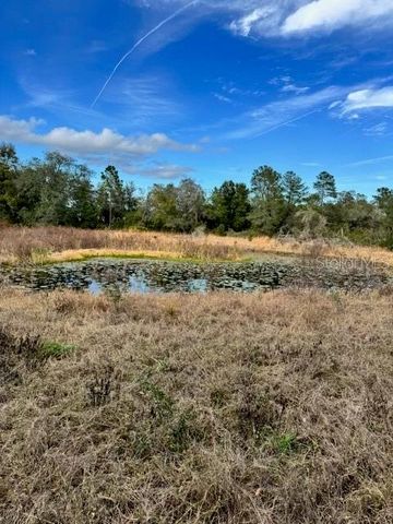 201 LAKE MOLLY AVENUE, Deland, FL 32724