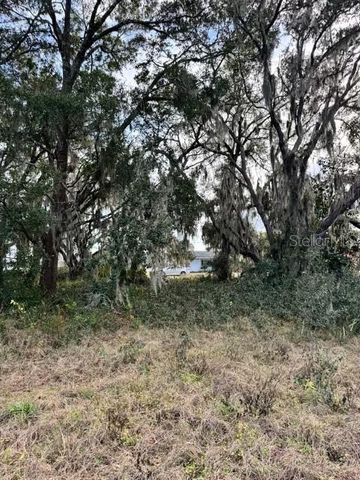 201 LAKE MOLLY AVENUE, Deland, FL 32724