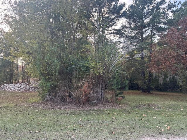 0 Silver Hickory Drive, Coldspring, TX 77331