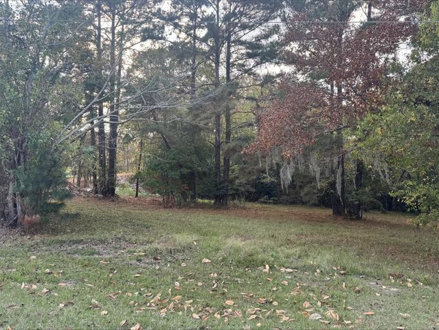 0 Silver Hickory Drive, Coldspring, TX 77331